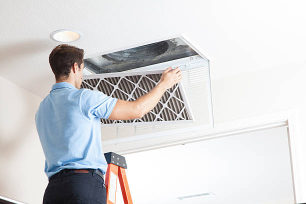 Best Air Filters and Purifiers in Winfield, MO